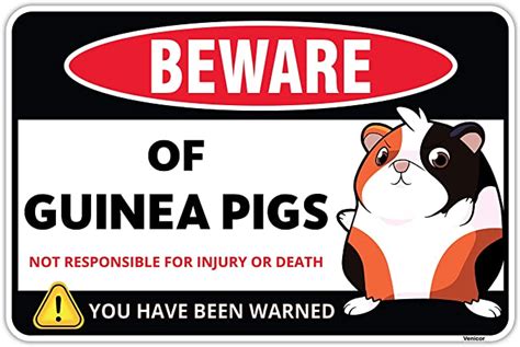 Venicor Guinea Pig Sign Decor 8 X 12 Inches Aluminum