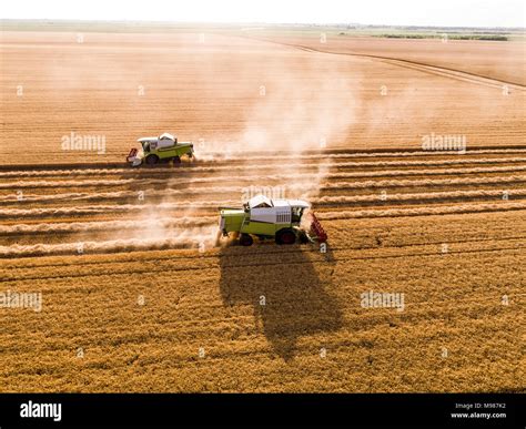 Combine Harvester On A Field Of Wheat Aerial View Stock Photo Alamy