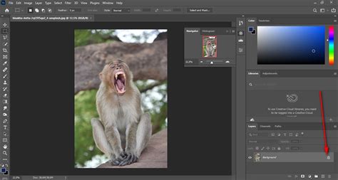 Hapus Background Dengan Cepat Di Adobe Photoshop 2021 Darmawan Blog