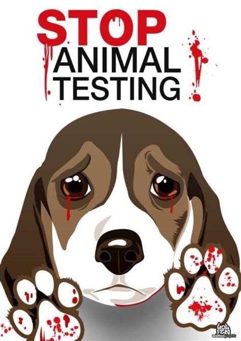 She and her staff are passionate about animals. 35 best images about Don't Test On Animals on Pinterest ...