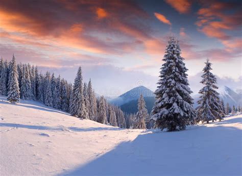 Beautiful Winter Sunrise In Mountains Stock Image Image Of Idyllic