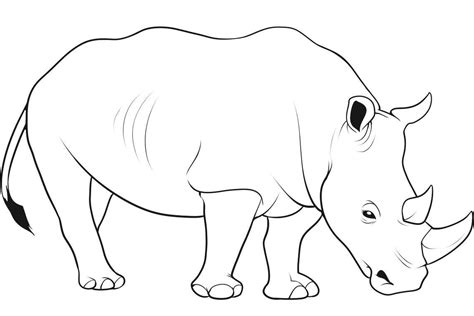 Baby Rhino Drawing At Getdrawings Free Download