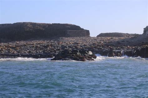 Phillip Island Adventure Cruise To Seal Rocks Places We Go