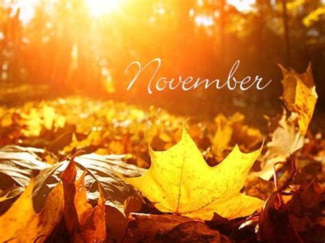 Interesting Things About The Month Of November Hubpages
