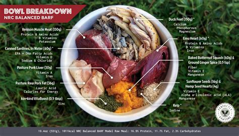 Many of us frequently prepare foods for. Bowl Breakdown, NRC Balanced BARF Diet, January