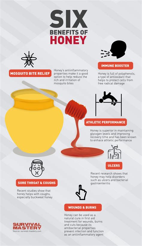 here are six reasons why you need honey in your life infographic naturalon natural health