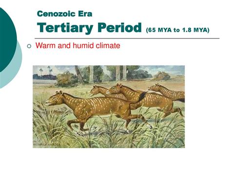 Cenozoic Era Age Of The Mammals Ppt Download