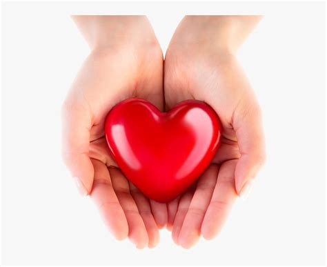 Transparent Hand Heart Png Heart In Hand Png Png Download
