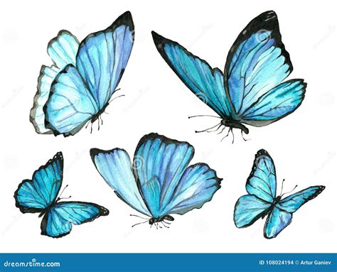 Watercolor Collection Of Blue Butterflies Stock Illustration