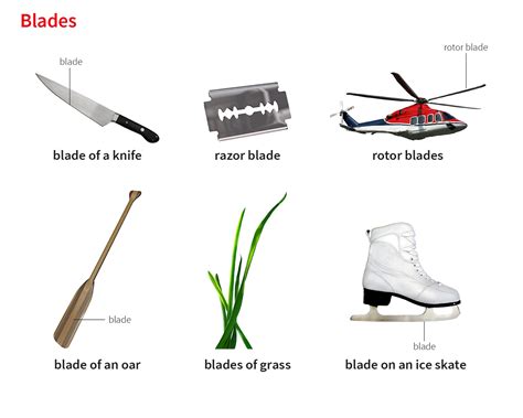 Blade Noun Definition Pictures Pronunciation And Usage Notes