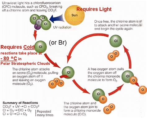 The Ozone Hole