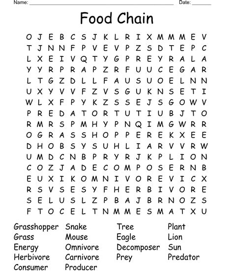 Food Chain Word Search Wordmint