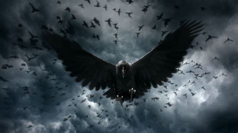 Gothic Crow Wallpapers Top Free Gothic Crow Backgrounds Wallpaperaccess