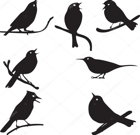 Siluetas De Aves Pájaro En Rama Colección De Vectores 2023