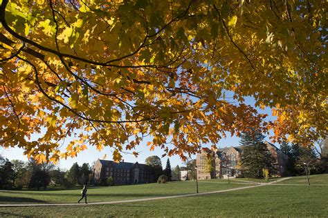 Climate Change Could Affect Fall Foliage Timing Uconn Today