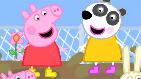 Peppa Pig En Español Episodios Completos Temporada 8 Nuevos