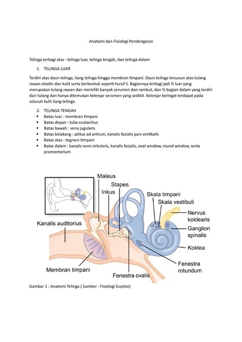 Anatomi Dan Fisiologi Pendengaran Anatomi Dan Fisiologi Pendengaran