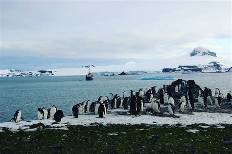 How To Travel To Antarctica All You Need To Know Before Booking A Trip