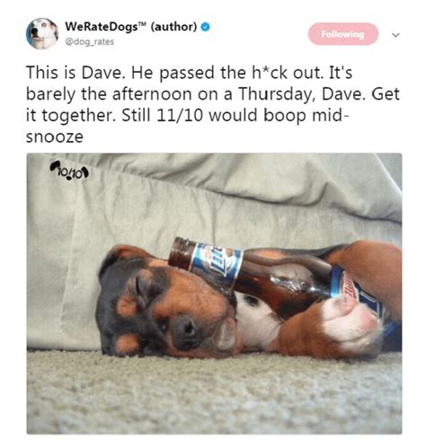 24 Hckin Funny Tweets From The We Rate Dogs Twitter Feed We Rate