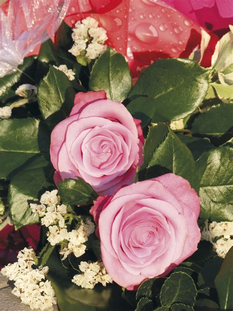 Gambar Rangkaian Bunga Mawar Yang Indah 57 Koleksi Gambar