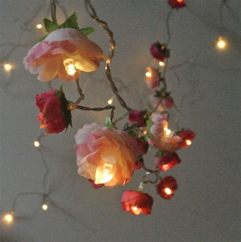 Bohemian Garden Mixed Rose Fairy Lights Pretty By Pamelaangus