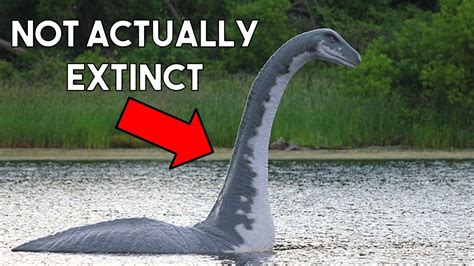 10 Animals That Arent Actually Extinct Youtube