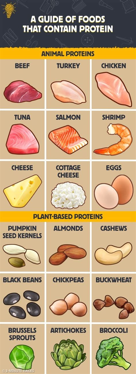 Food Contains Protein Hot Sex Picture