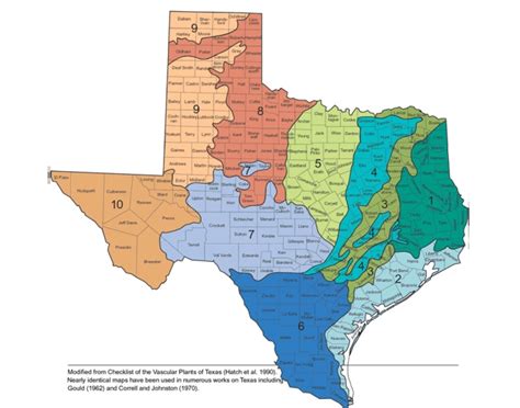 10 Vegetational Areas Of Texas Quiz