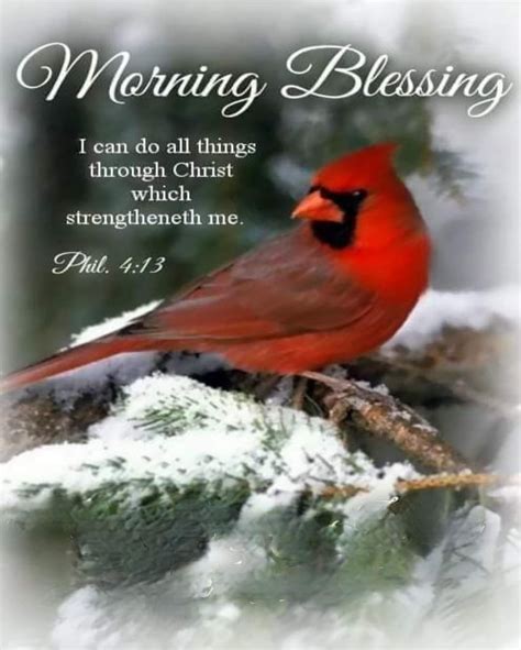Cardinal Morning Blessing Pictures Photos And Images For Facebook