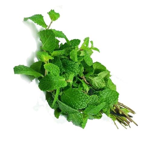 Orgo Fresh Indian Fresh Mint Leaf Ntuc Fairprice
