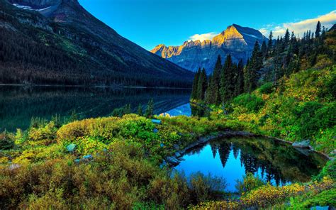 Beautiful Forest Green Lake Landscape Wallpapers HD ...