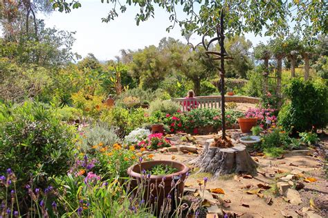 San Diego Botanic Garden Explore Gardens Featuring Native And Rare
