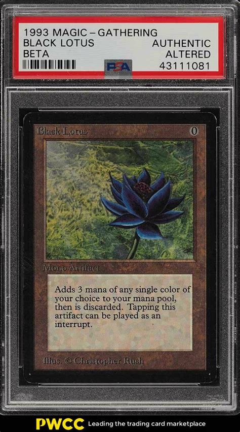 This renown, and its value as a status symbol, also increases its price — more. Auction Prices Realized Tcg Cards 1993 Magic the Gathering Black Lotus BETA