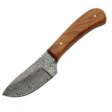 Dm1080ow Damascus Steel Skinner Knife Olive Wood Handles