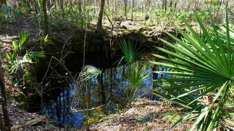 Best Scenic Hikes In Florida Florida Hikes