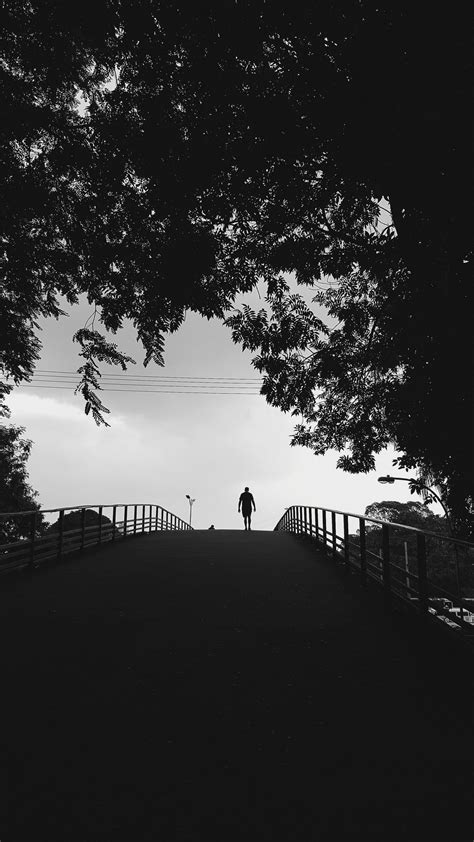 Download Wallpaper 1350x2400 Silhouette Trees Bw Walk Lonely