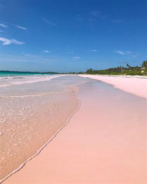 This Pink Sand Beach In The Bahamas Will Top Your Travel Bucket List