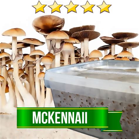 Mckennaii Magic Mushroom Grow Kit 1200cc