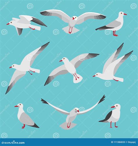 Set Illustrations Of Atlantic Seagulls In Cartoon Style Pictures Of