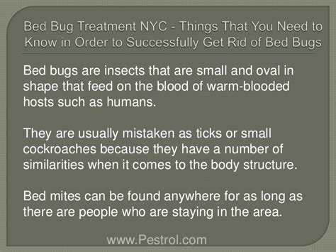 Bed Bug Treatment Nyc Things That You Need To Know In Order To