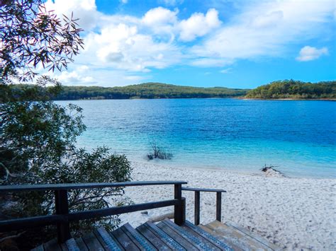 Fraser Island Day Trip From Noosa Tips And Itinerary Beeloved City