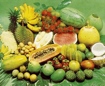 Doc faedah buah buahan tempatan zul za academia edu. Makanan dan Pemakanan: khasiat buah-buahan