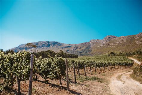 The Best Way To Experience The Cape Town Vineyards When Youre Short On
