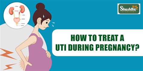 How To Treat Urine Infection In Pregnancy Shuddhi Ayurveda
