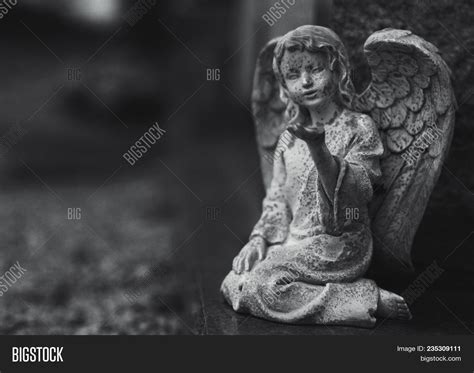 Gothic Angel Statue Image And Photo Free Trial Bigstock