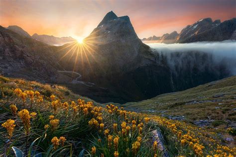 William Patino Introduction To Landscape Photography Composition
