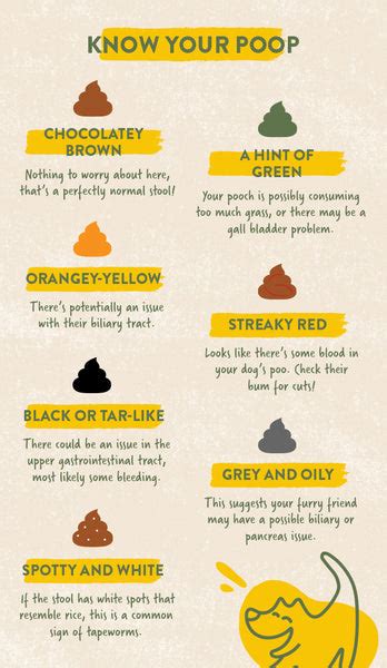 Puppy Poop Sheet How To Check Your Dogs Health Through Poo