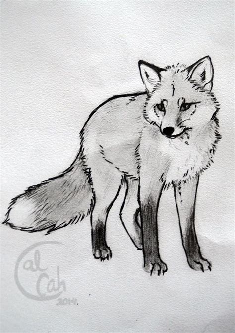 Tattoo Sketch On Deviantart Animal