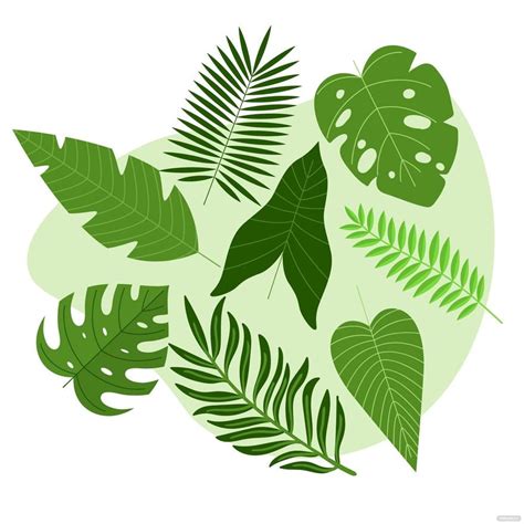 Jungle Leaf Vector In Illustrator Svg  Eps Png Download
