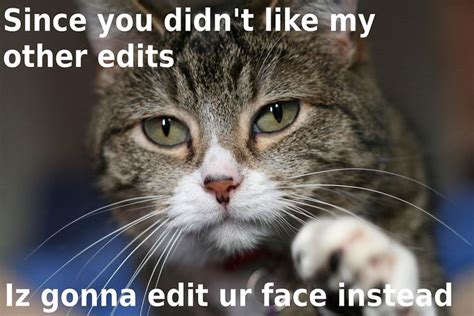 A Close Up Of A Cat With A Caption That Reads Since You Didnt Like My